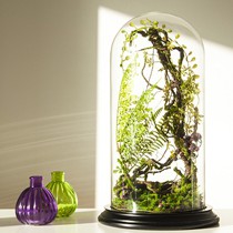 Vases et bonbonnières