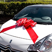 Noeud Voiture Mariage, 50 Pièces Nœuds pour Antenne de Voiture