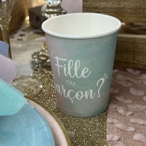 Table Baby Gender reveal Rose, Vert et Bleu