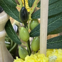 Table Olives
