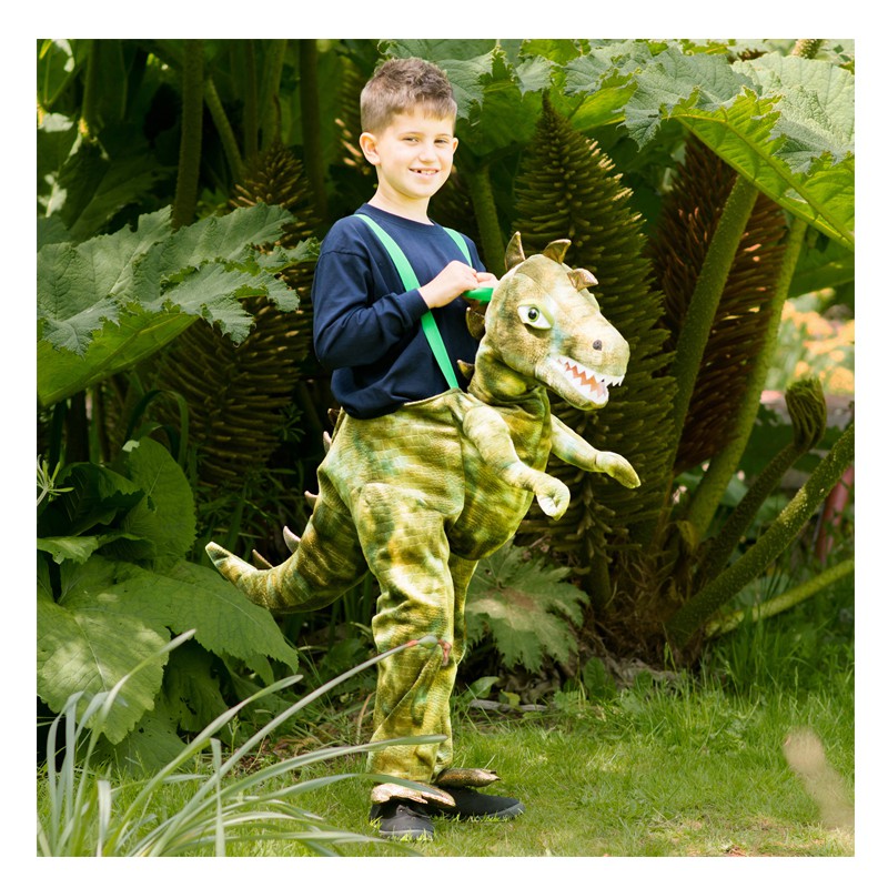 Bandeau Nager, Zwart avec imprimé dinosaure, Enfant 3 - 9 ans, contre  l'eau dans