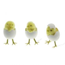 1 POUSSIN DANS SA COQUILLE 9 CM
