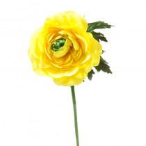 1 RENONCULE SUR TIGE DE 30CM JAUNE