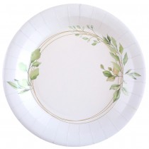 10 ASSIETTES BONHEUR CARTON 22.5CM BLANC VERT