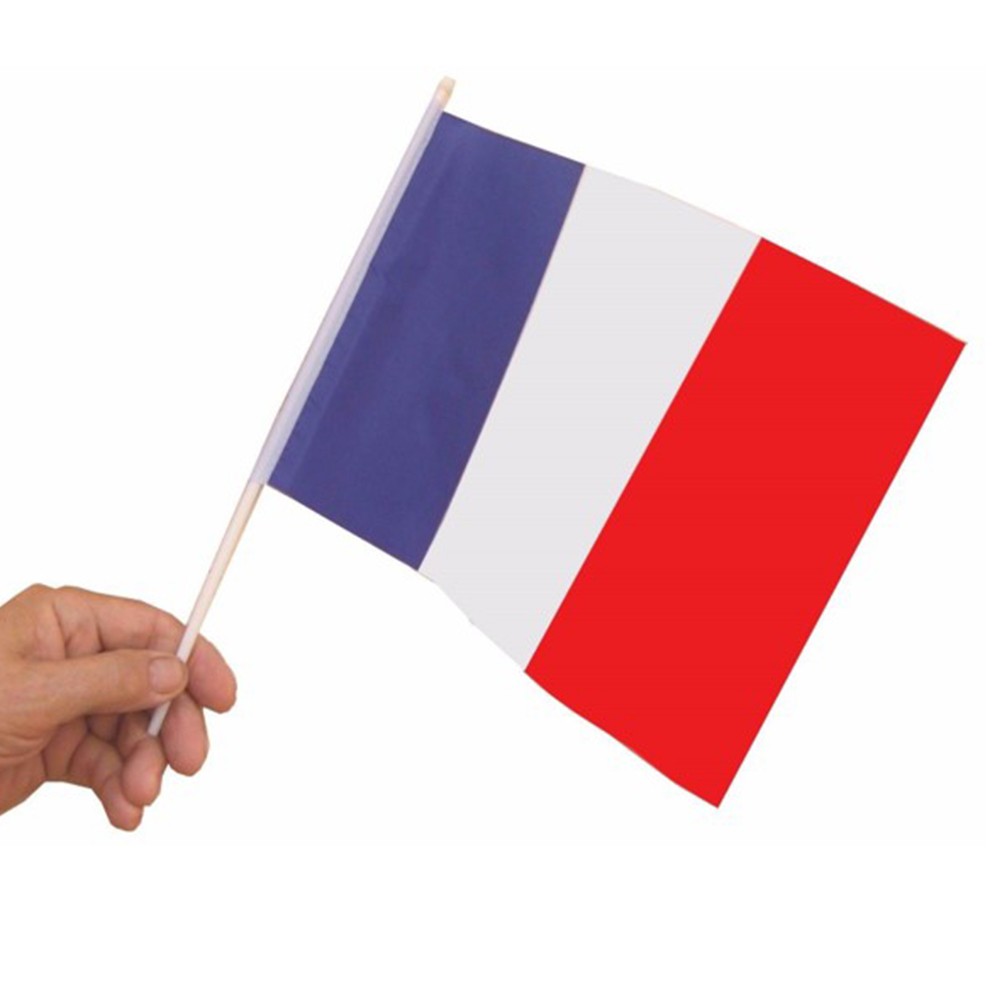 10 DRAPEAUX FRANCE POLYESTER AVEC HAMPE 15X21CM