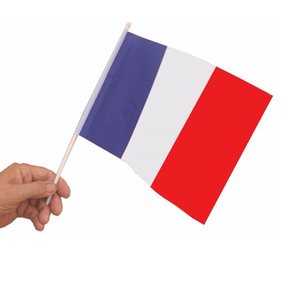 Drapeau France sur hampe à bas prix 