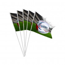 10 DRAPEAUX PAPIER RUGBY STADE FRANCE 9.5X16CM