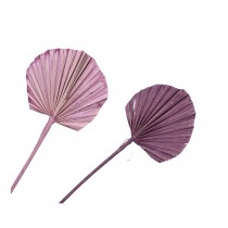 10 FEUILLES DE PALMIER ROND VIOLET