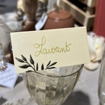 10 MARQUE-PLACES CARTON BELLA TERRA 8X4CM BLUSH
