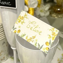 10 MARQUE-PLACES CARTON DOLCE VITA 8X4CM BLANC