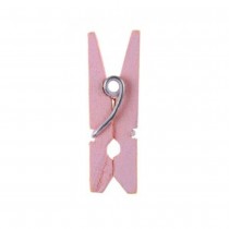10 MINI PINCES À LINGE 2.5CM ROSE