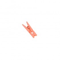 10 MINI PINCES À LINGE CORAIL 2,5 CM