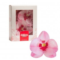 10 ORCHIDÉES COMESTIBLES EN AZYME - ROSE