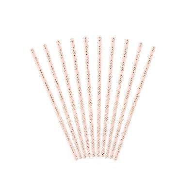 10 PAILLES CARTON RAYÉES CANDY BAR ROSE 19.5CM OR