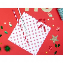 10 PAILLES CARTON RAYURES OBLIQUES 19.5CM ROUGE