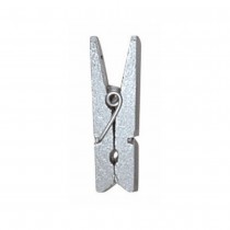 10 PINCES À LINGE BOIS 2.5CM ARGENT