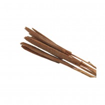 10 TIGES ROSEAU FLEURS SÉCHÉES 70-75CM MARRON