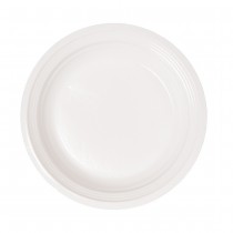 100 ASSIETTES RONDES BLANCHES 20.5CM