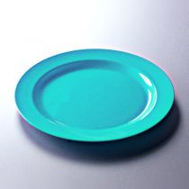 12 ASSIETTES PRESTIGE 190 - TURQUOISE