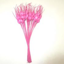 12 BRINS BLÉS - FUCHSIA
