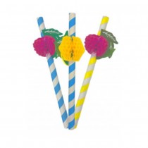 12 PAILLES RAYÉES 18CM BLEU JAUNE