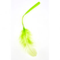 12 PLUMES AVEC LIEN ANIS 16 CM