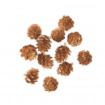 12 POMMES DE PIN NATURELLES 2CM OR