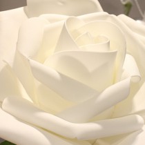 12 ROSES EN POLYFOAM BLANC 7 CM