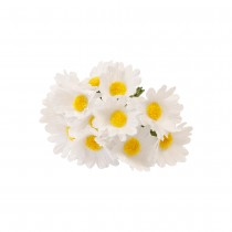 12 TIGES MARGUERITE ARTIFICIELLE 10CM BLANC