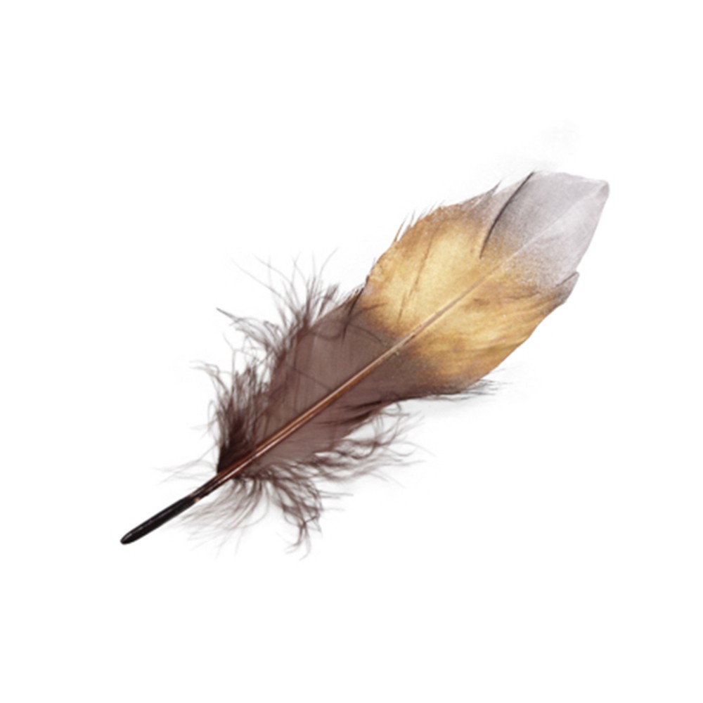 Plumes d'oie taillées 28cm