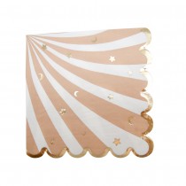 16 SERVIETTES PAPIER DOUX BÉBÉ 33CL CAMEL