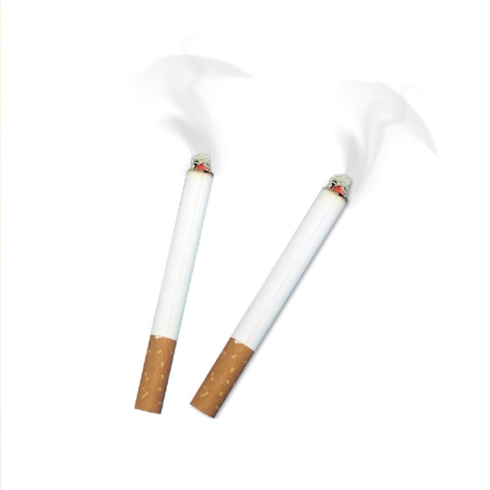 2 FAUSSES CIGARETTES FUMANTES