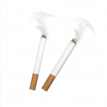 2 FAUSSES CIGARETTES FUMANTES