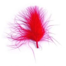 20 PLUMES DE 7CM - ROUGE