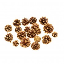 20 POMMES DE PIN NATURELLES OR 4-6.5CM 250G