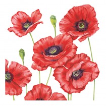 20 SERVIETTES COQUELICOTS 33X33CM