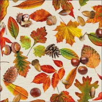 20 SERVIETTES FESTIVAL D\'AUTOMNE 33X33CM