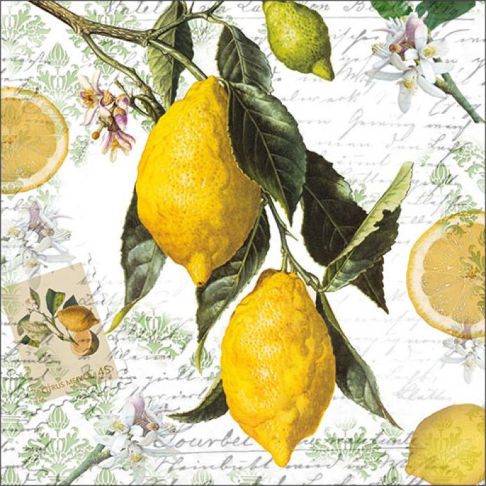 LOT DE SERVIETTES EN PAPIER MOTIFS CITRONS ORANGE/JAUNE/VERT : Serviette  Table Bouchara