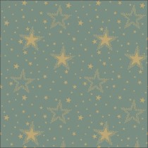 20 SERVIETTES PAPIER CIEL NOCTURNE 33CM OR SAUGE