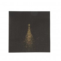 20 SERVIETTES PAPIER ÉTOILE FILANTE 32.5CM NOIR