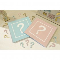 20 SERVIETTES PAPIER GENDER REVEAL 33CM