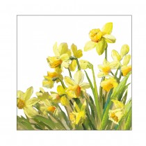 20 SERVIETTES PAPIER JONQUILLES JAUNE 33CM