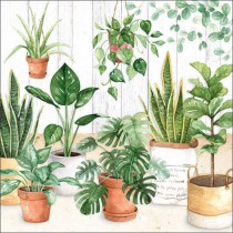20 SERVIETTES PAPIER JUNGLE URBAINE 33CM VERT