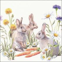 20 SERVIETTES PAPIER LAPINS CAROTTES 33CM