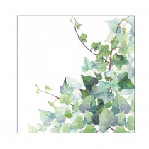 20 SERVIETTES PAPIER LIERRE HEDERA 33CM