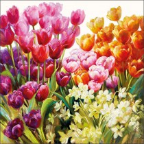 20 SERVIETTES PAPIER TULIPES 33CM MULTICOLORE