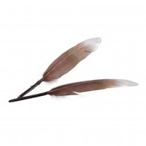 24 PLUMES D\'OIE NATURE 12-13CM MARRON OR ARGENT