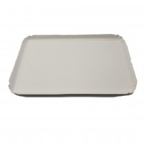 25 PLATEAUX CARTON BIO 28X42CM BLANC