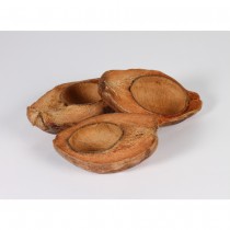 3 DEMI NOIX DE COCO NATURELLES
