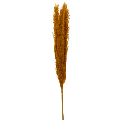 3 PLUMES PAMPA SÉCHÉES 109CM OCRE